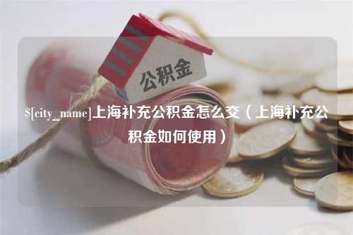 永康上海补充公积金怎么交（上海补充公积金如何使用）